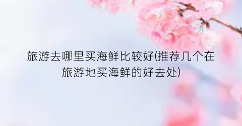 旅游去哪里买海鲜比较好(推荐几个在旅游地买海鲜的好去处)