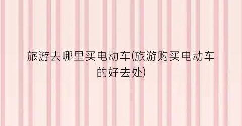 旅游去哪里买电动车(旅游购买电动车的好去处)