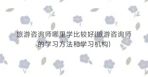 旅游咨询师哪里学比较好(旅游咨询师的学习方法和学习机构)
