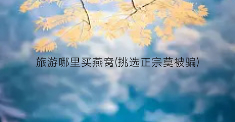旅游哪里买燕窝(挑选正宗莫被骗)
