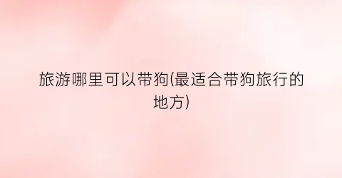 旅游哪里可以带狗(最适合带狗旅行的地方)