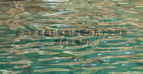 旅游哪里看到鲨鱼(这里有五个亚洲旅游胜地推荐)