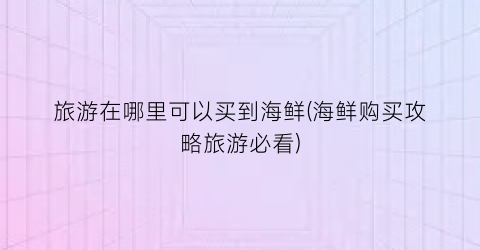 旅游在哪里可以买到海鲜(海鲜购买攻略旅游必看)