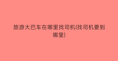 旅游大巴车在哪里找司机(找司机要到哪里)