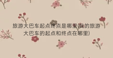 旅游大巴车起点终点是哪里(我的旅游大巴车的起点和终点在哪里)