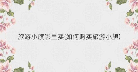 旅游小旗哪里买(如何购买旅游小旗)