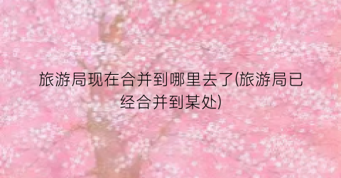 旅游局现在合并到哪里去了(旅游局已经合并到某处)