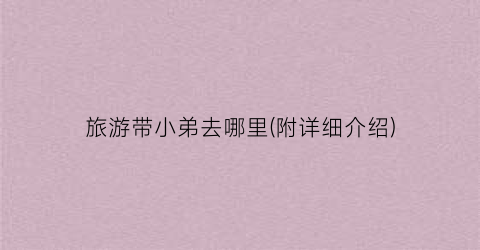 旅游带小弟去哪里(附详细介绍)