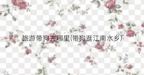 旅游带狗去哪里(带狗逛江南水乡)