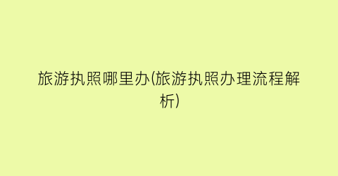 旅游执照哪里办(旅游执照办理流程解析)