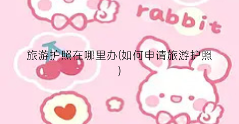 旅游护照在哪里办(如何申请旅游护照)
