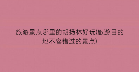 旅游景点哪里的胡扬林好玩(旅游目的地不容错过的景点)