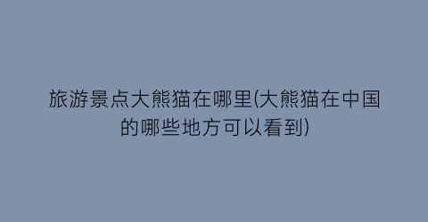 旅游景点大熊猫在哪里(大熊猫在中国的哪些地方可以看到)
