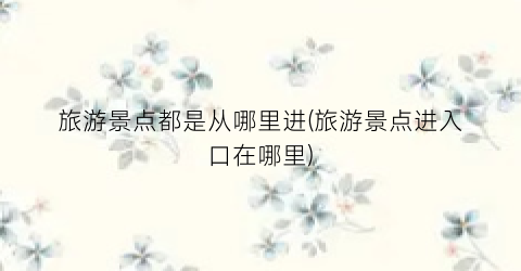 旅游景点都是从哪里进(旅游景点进入口在哪里)