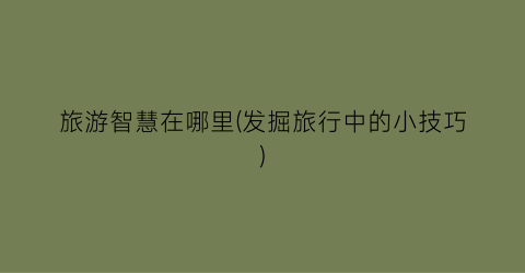 旅游智慧在哪里(发掘旅行中的小技巧)