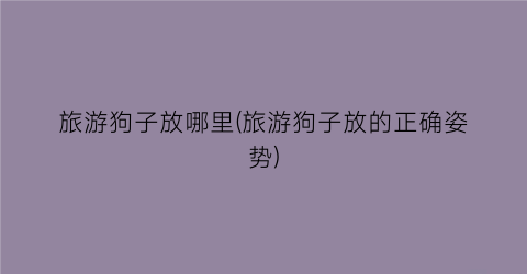 旅游狗子放哪里(旅游狗子放的正确姿势)