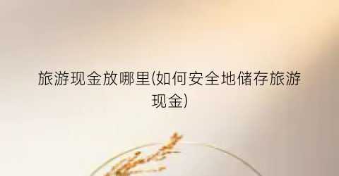 旅游现金放哪里(如何安全地储存旅游现金)