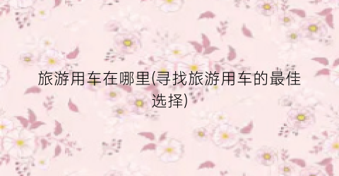 旅游用车在哪里(寻找旅游用车的最佳选择)