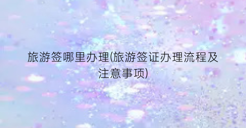旅游签哪里办理(旅游签证办理流程及注意事项)