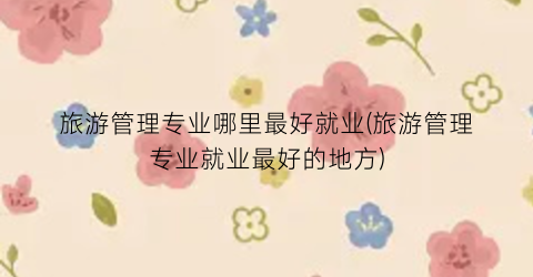 旅游管理专业哪里最好就业(旅游管理专业就业最好的地方)