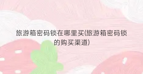 旅游箱密码锁在哪里买(旅游箱密码锁的购买渠道)