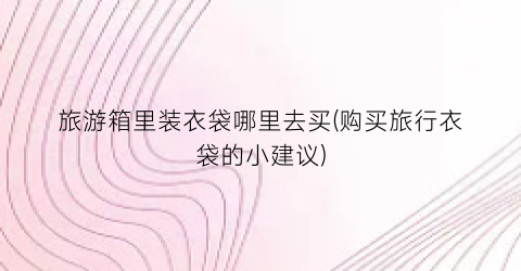 旅游箱里装衣袋哪里去买(购买旅行衣袋的小建议)
