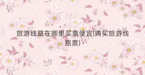 旅游线路在哪里买票便宜(购买旅游线路票)