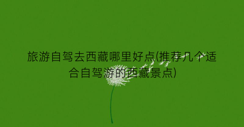 旅游自驾去西藏哪里好点(推荐几个适合自驾游的西藏景点)