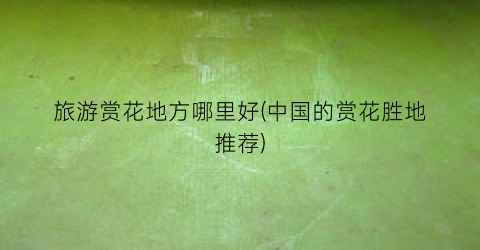旅游赏花地方哪里好(中国的赏花胜地推荐)