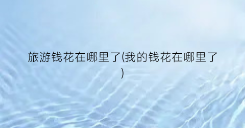 旅游钱花在哪里了(我的钱花在哪里了)