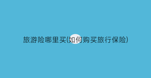 旅游险哪里买(如何购买旅行保险)
