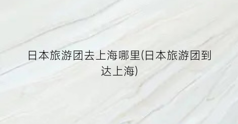 日本旅游团去上海哪里(日本旅游团到达上海)