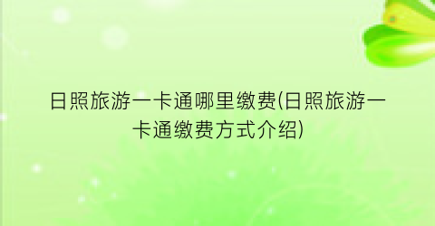 日照旅游一卡通哪里缴费(日照旅游一卡通缴费方式介绍)
