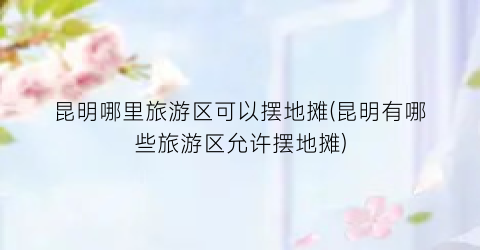 昆明哪里旅游区可以摆地摊(昆明有哪些旅游区允许摆地摊)