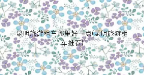 昆明旅游租车哪里好一点(昆明旅游租车推荐)