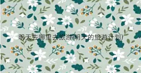 明天去哪里去旅游(明天的旅游计划)