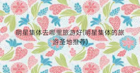 明星集体去哪里旅游好(明星集体的旅游圣地推荐)
