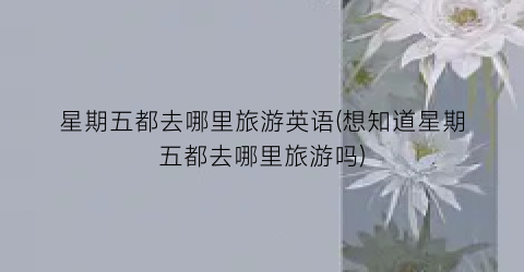星期五都去哪里旅游英语(想知道星期五都去哪里旅游吗)