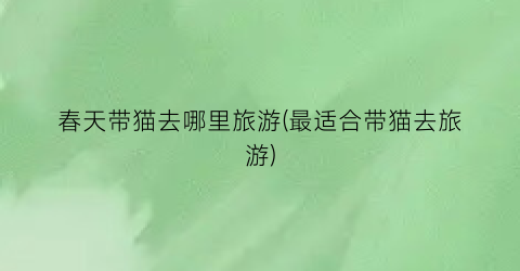 春天带猫去哪里旅游(最适合带猫去旅游)