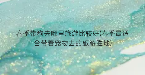春季带狗去哪里旅游比较好(春季最适合带着宠物去的旅游胜地)