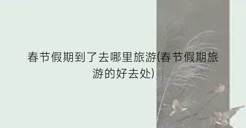 春节假期到了去哪里旅游(春节假期旅游的好去处)