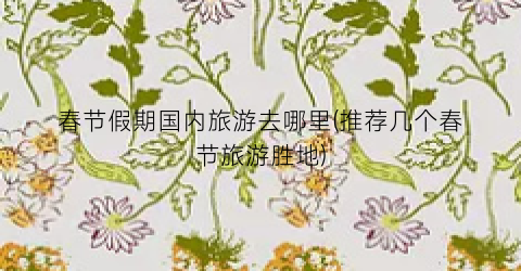 春节假期国内旅游去哪里(推荐几个春节旅游胜地)