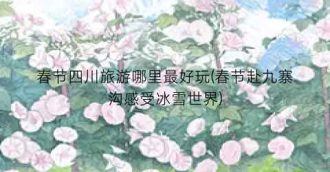 春节四川旅游哪里最好玩(春节赴九寨沟感受冰雪世界)