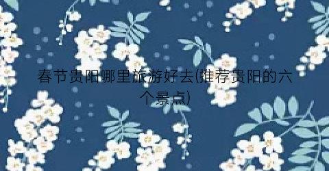 春节贵阳哪里旅游好去(推荐贵阳的六个景点)
