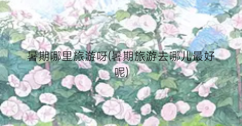 暑期哪里旅游呀(暑期旅游去哪儿最好呢)