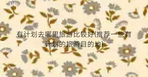 有计划去哪里旅游比较好(推荐一些有计划的旅游目的地)