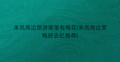 来凤周边旅游哪里有梅花(来凤周边赏梅好去处推荐)