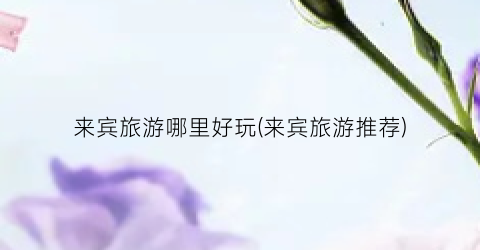 来宾旅游哪里好玩(来宾旅游推荐)