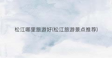 松江哪里旅游好(松江旅游景点推荐)