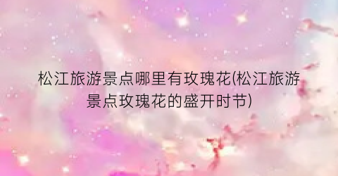 松江旅游景点哪里有玫瑰花(松江旅游景点玫瑰花的盛开时节)